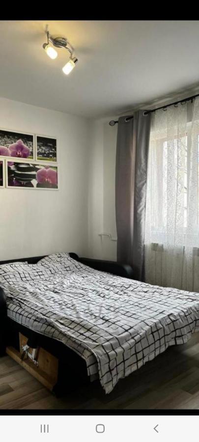 בראשוב Zenapartment מראה חיצוני תמונה