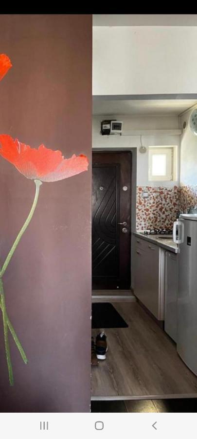 בראשוב Zenapartment מראה חיצוני תמונה