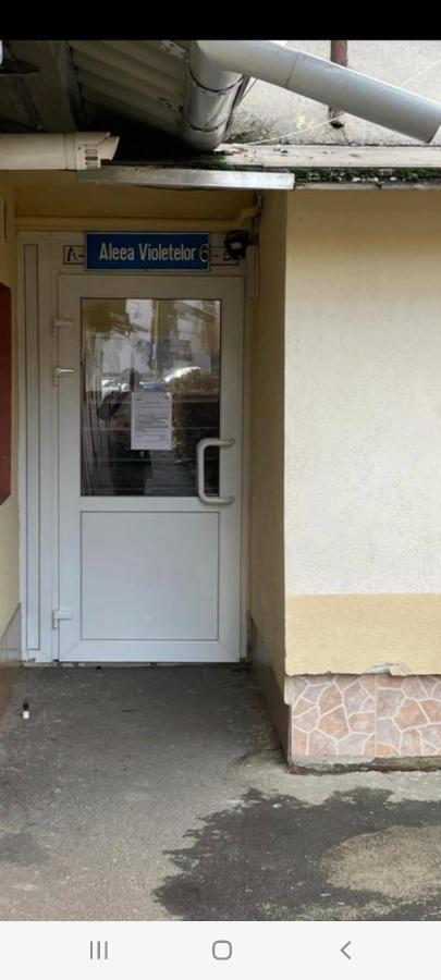 בראשוב Zenapartment מראה חיצוני תמונה
